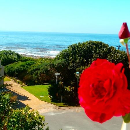 Belle Vue Guesthouse Hermanus Esterno foto