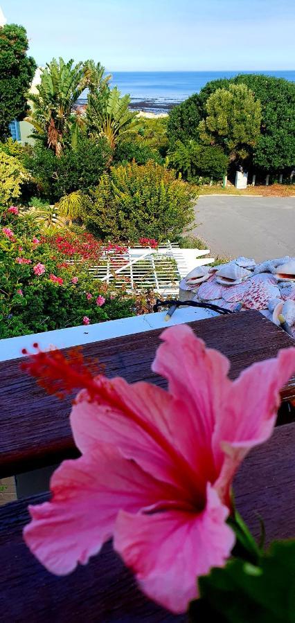 Belle Vue Guesthouse Hermanus Esterno foto