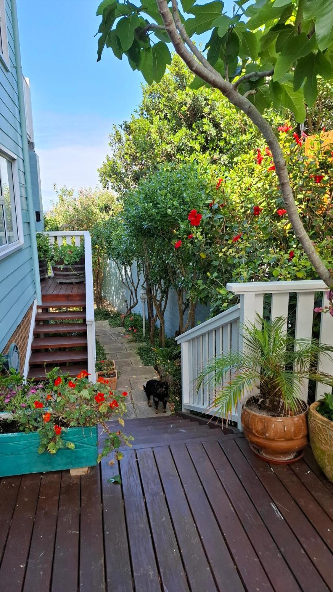 Belle Vue Guesthouse Hermanus Esterno foto